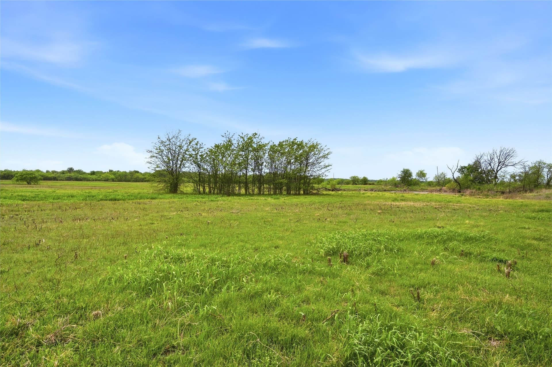 19.16 acres in Grayson County - photo 15