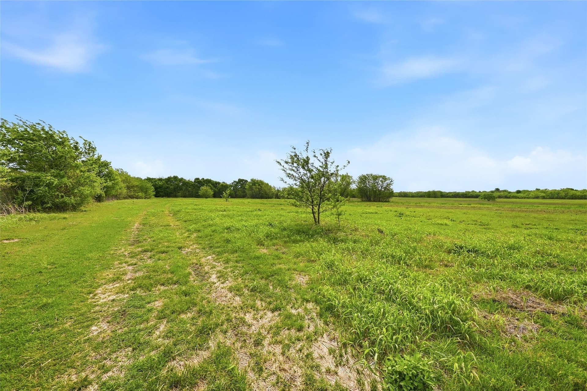19.16 acres in Grayson County - photo 14