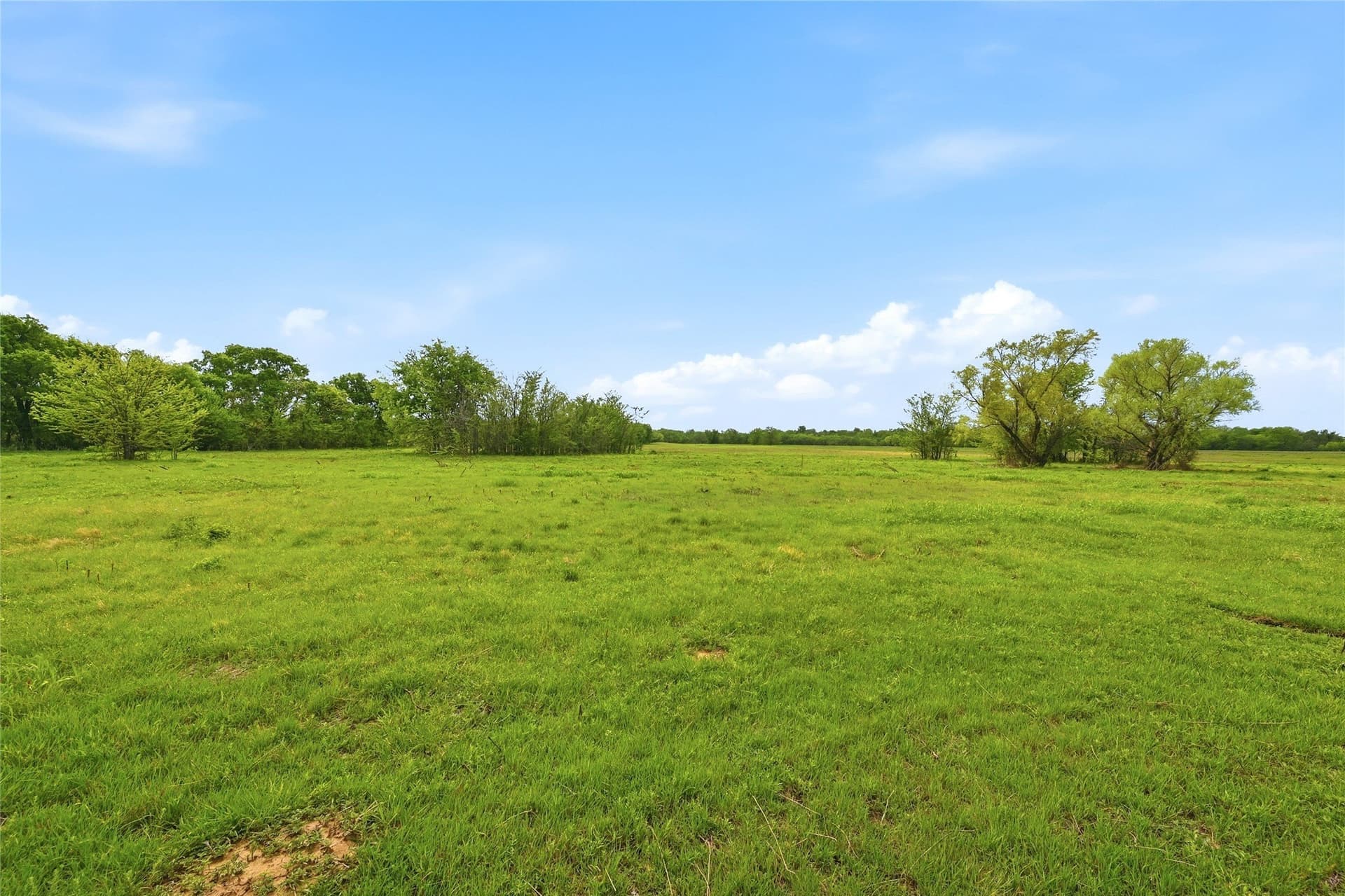 19.16 acres in Grayson County - photo 13