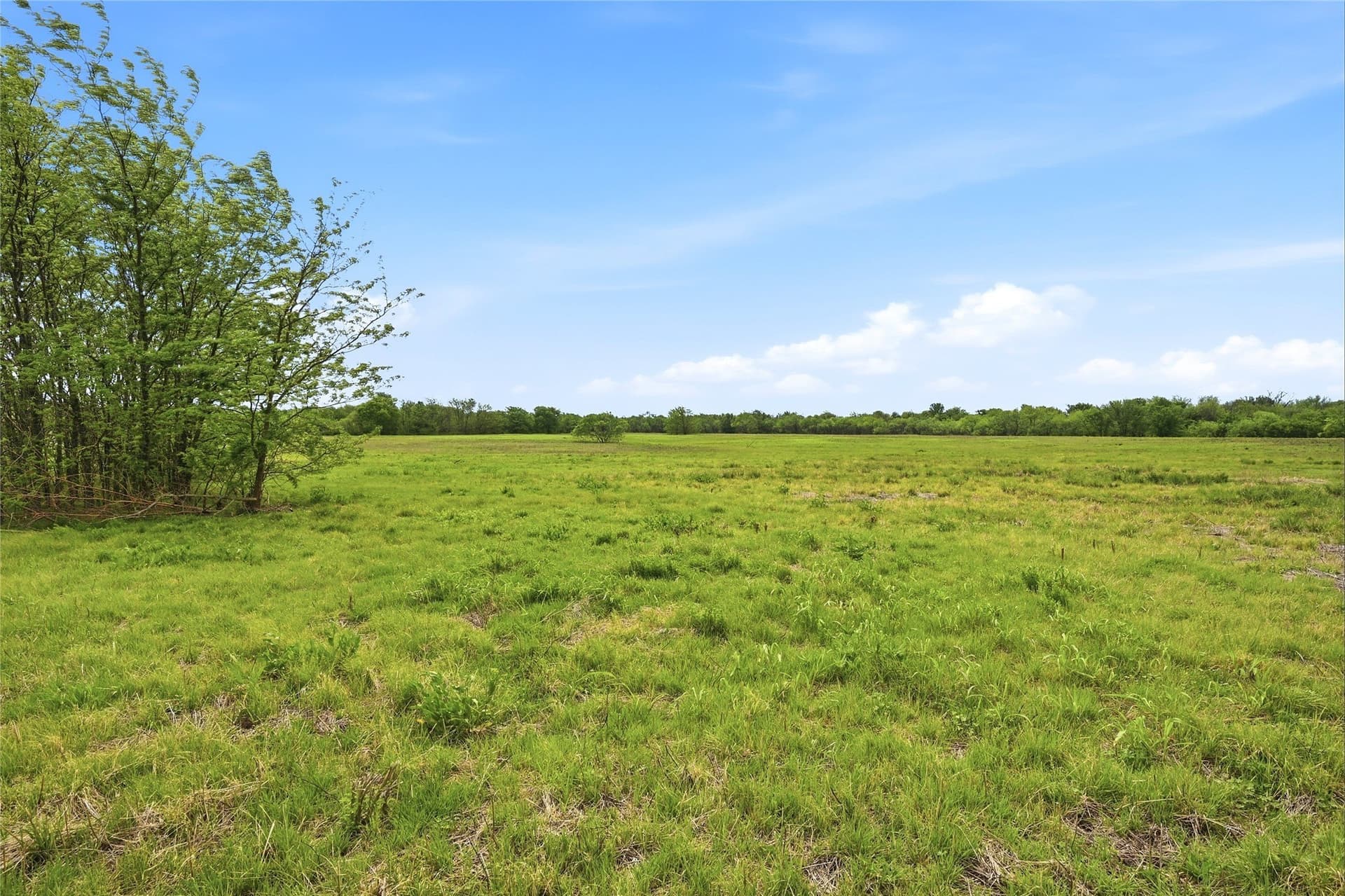 19.16 acres in Grayson County - photo 18