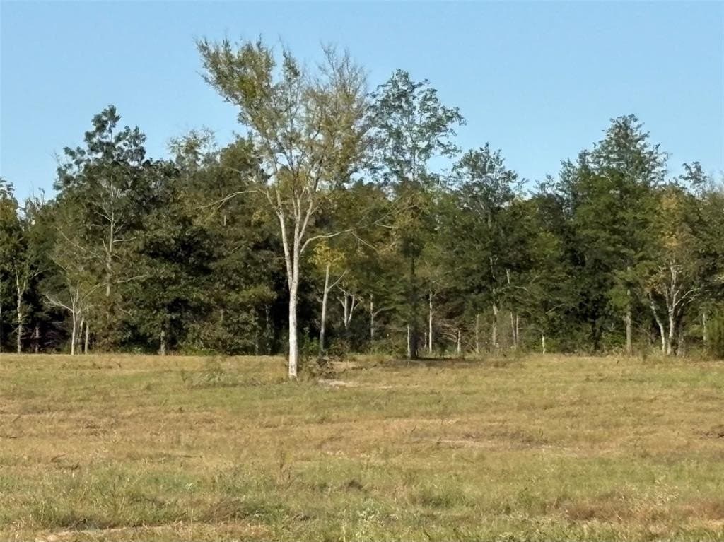 11.75 acres in Hopkins County gallery image 4