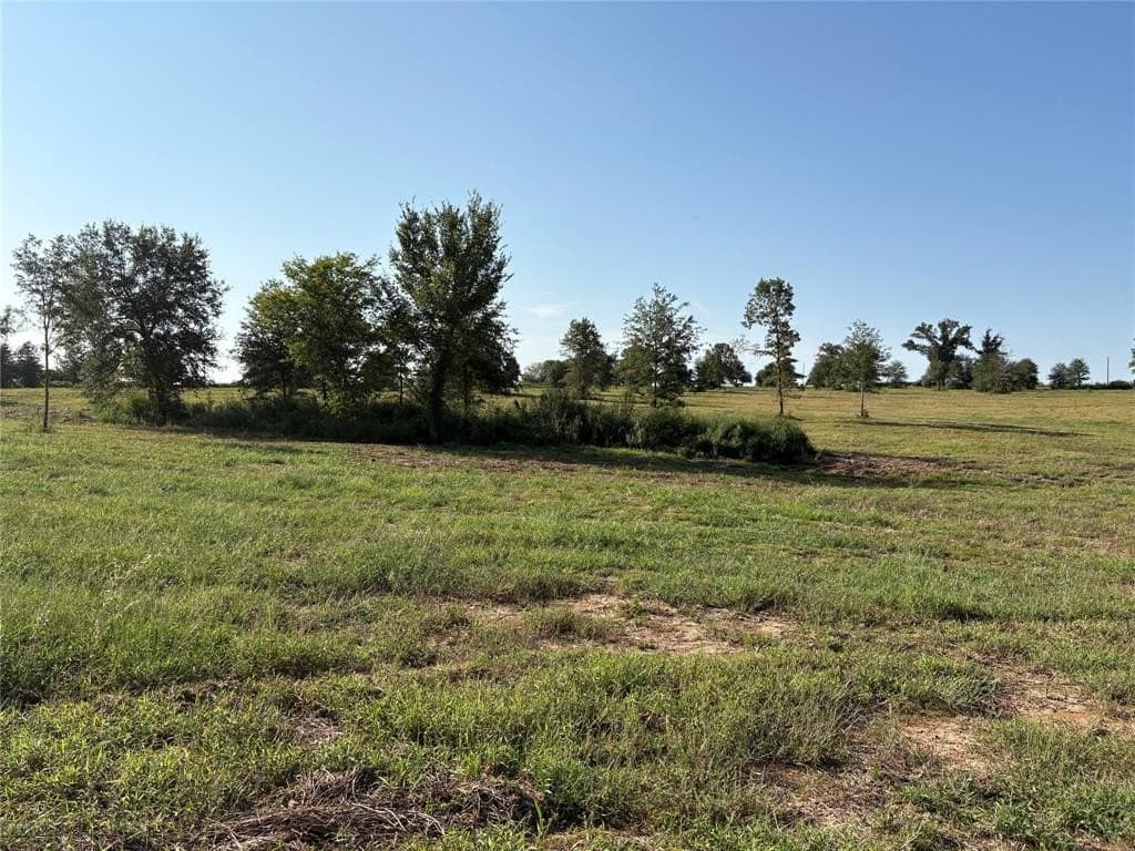 11.75 acres in Hopkins County gallery image 3