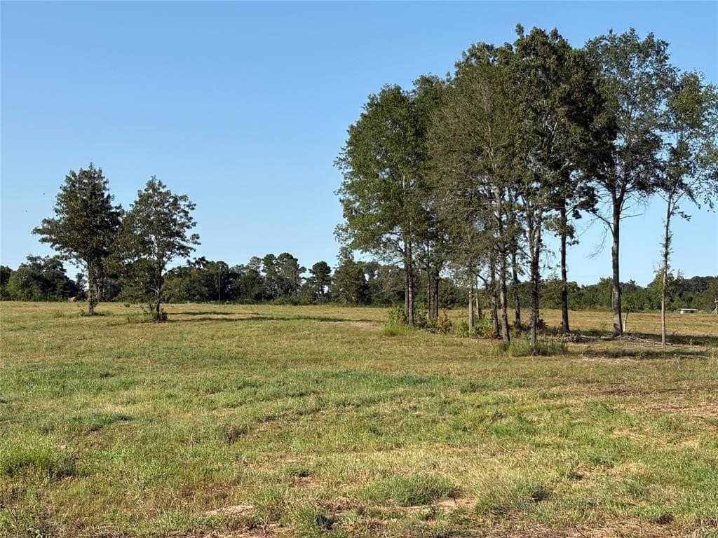 11.75 acres in Hopkins County gallery image 2