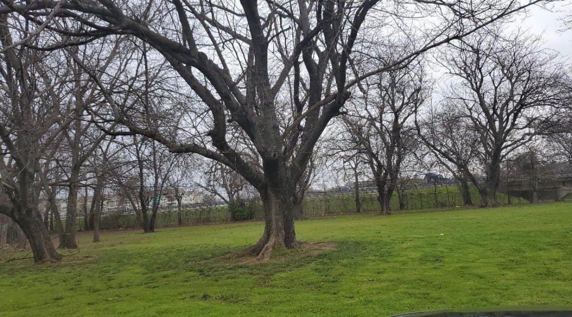0.38 acres in Johnson County gallery image 2