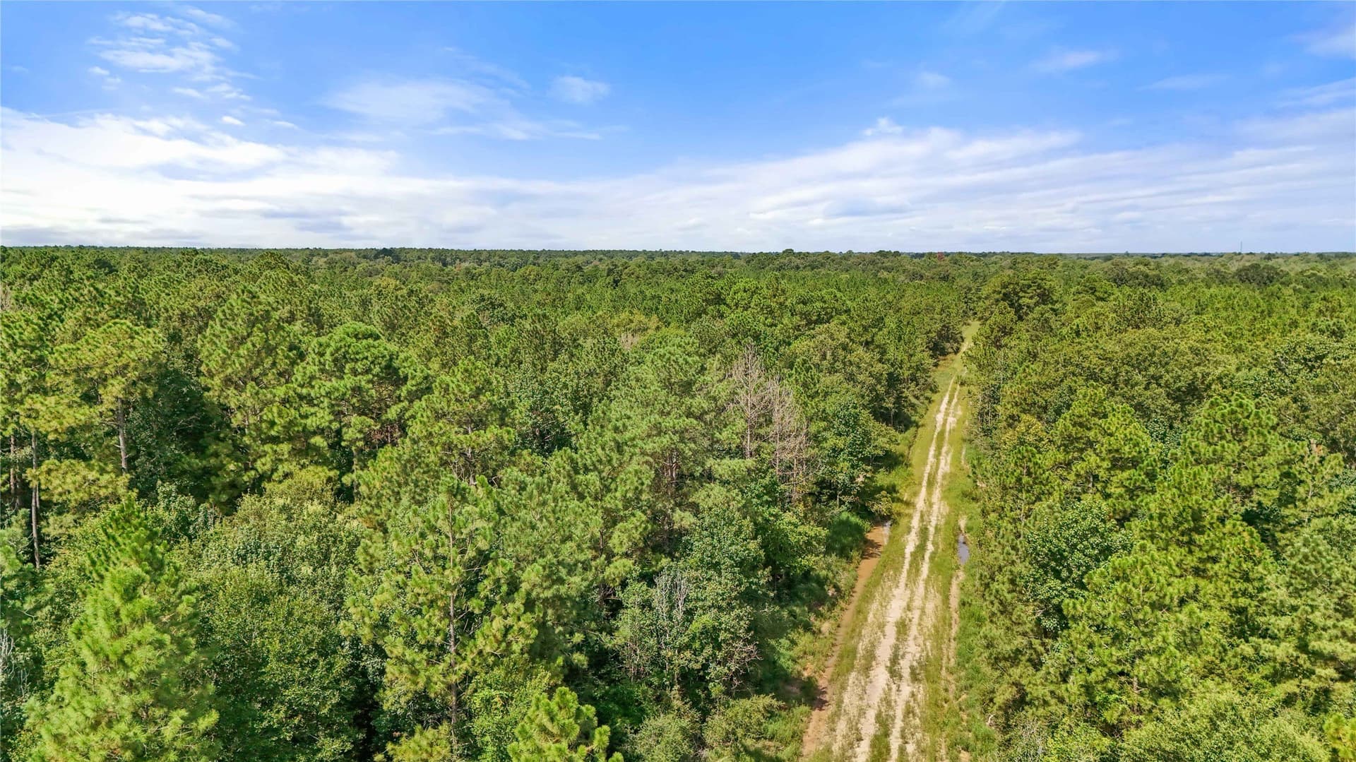 1,425 acres in Hardin County gallery image 4