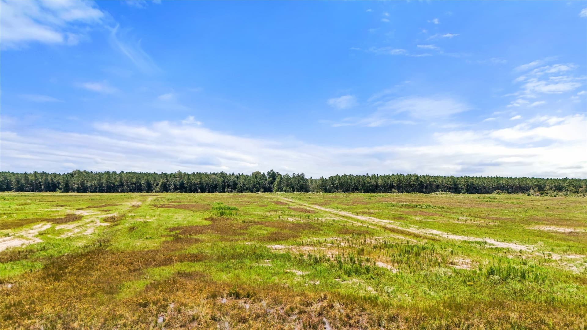 1,425 acres in Hardin County - photo 7