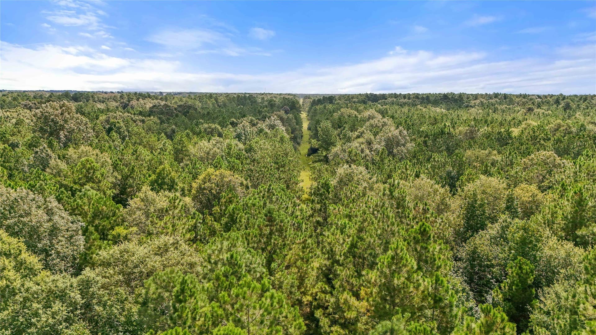 1,425 acres in Hardin County - photo 9