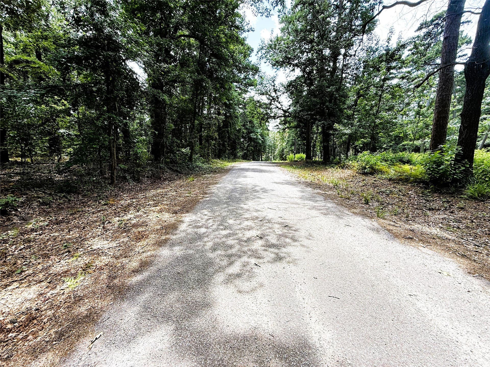 2.68 acres in Wood County - photo 3