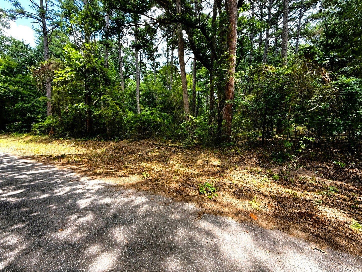 2.68 acres in Wood County - photo 2