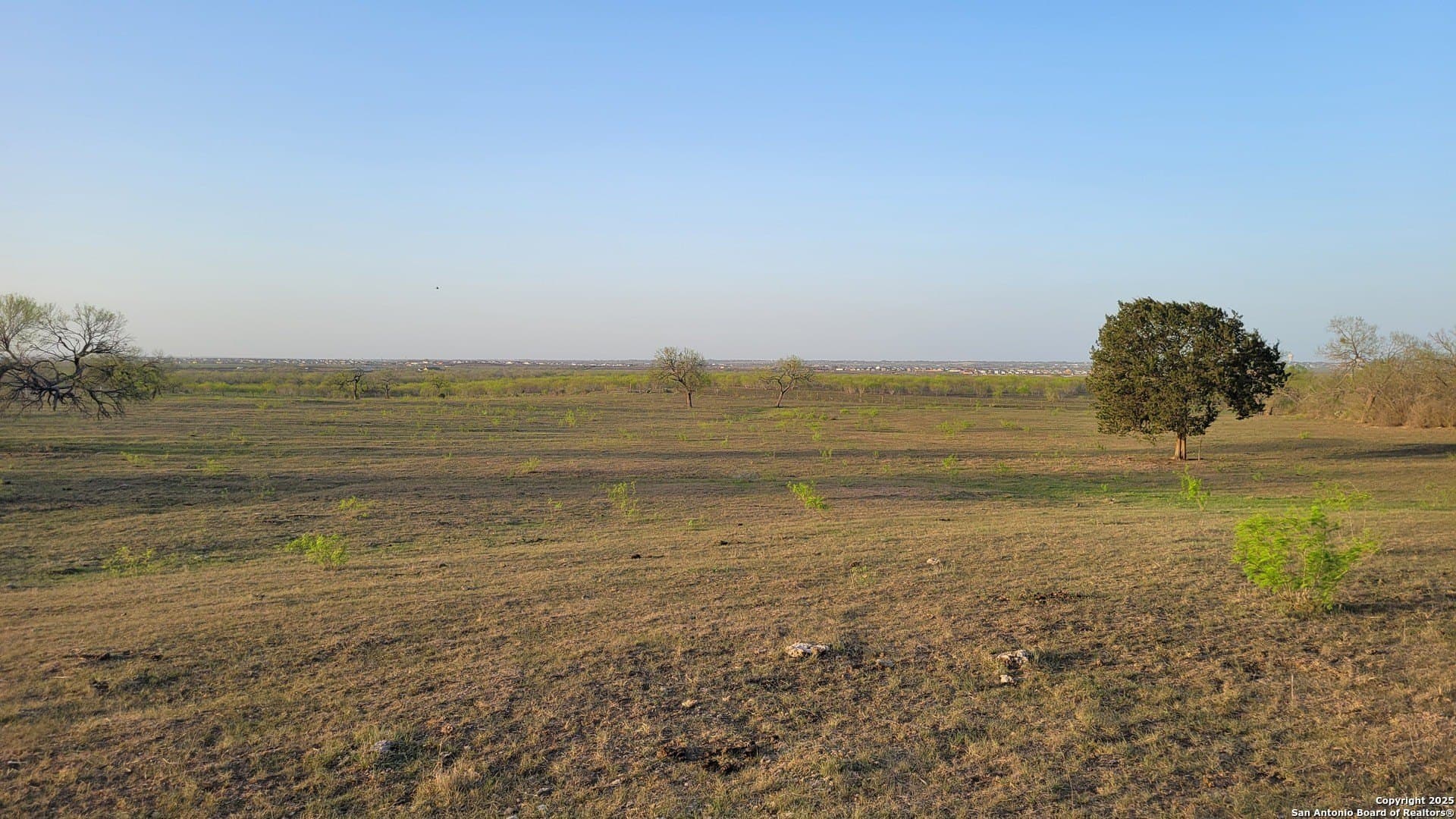 75.07 acres in Bexar County - photo 13