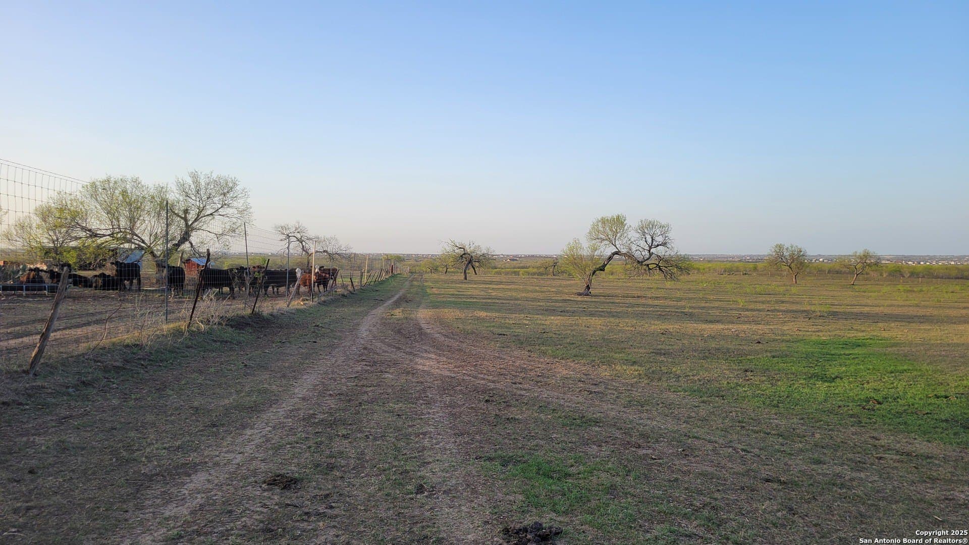 75.07 acres in Bexar County - photo 10