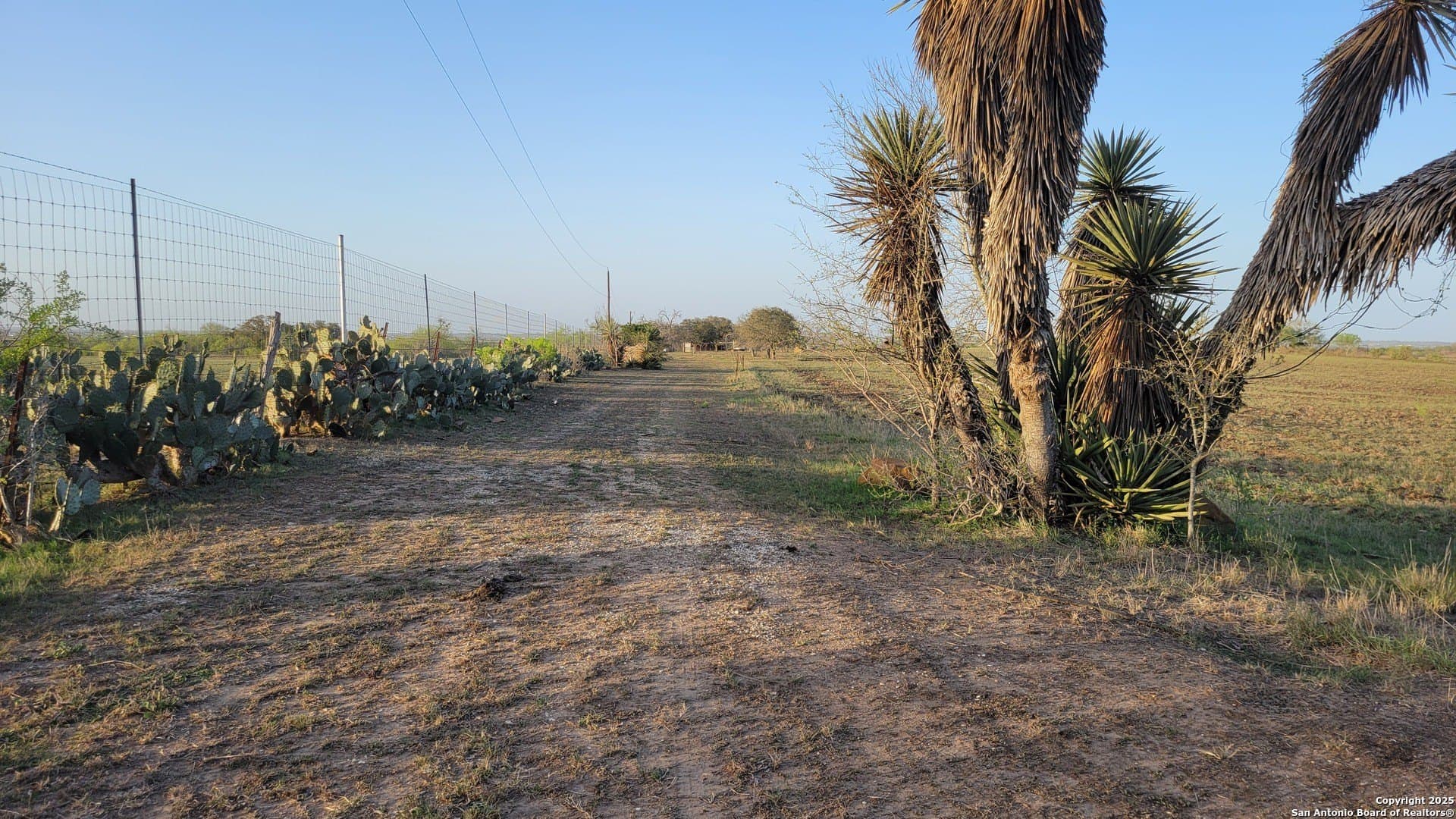 75.07 acres in Bexar County - photo 9