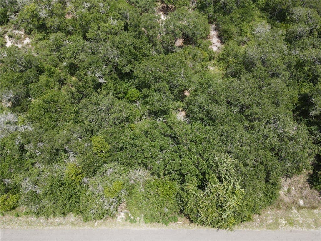 2.12 acres in San Patricio County - photo 7