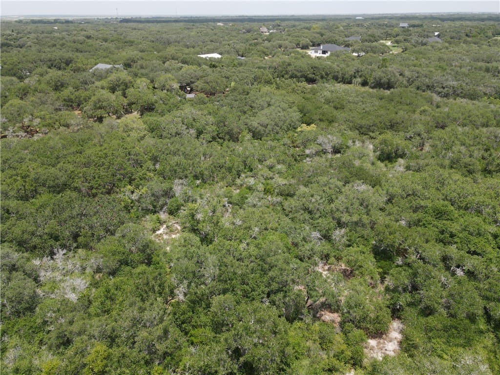 2.12 acres in San Patricio County - photo 5