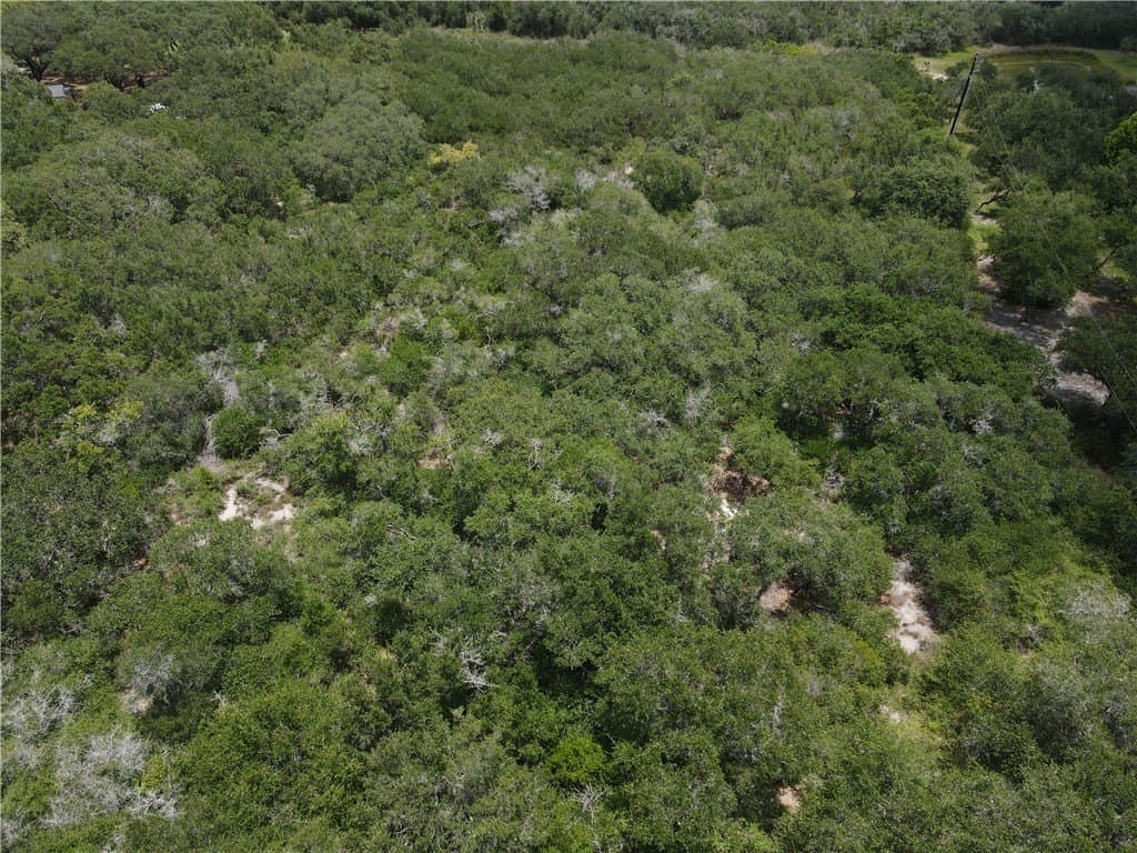 2.12 acres in San Patricio County - photo 4