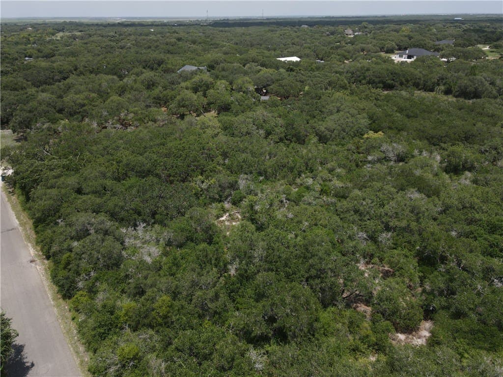 2.12 acres in San Patricio County - photo 3