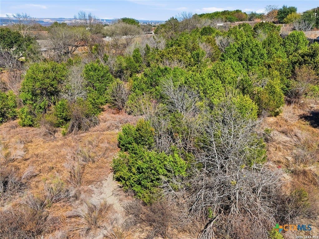 3.16 acres in Guadalupe County gallery image 4