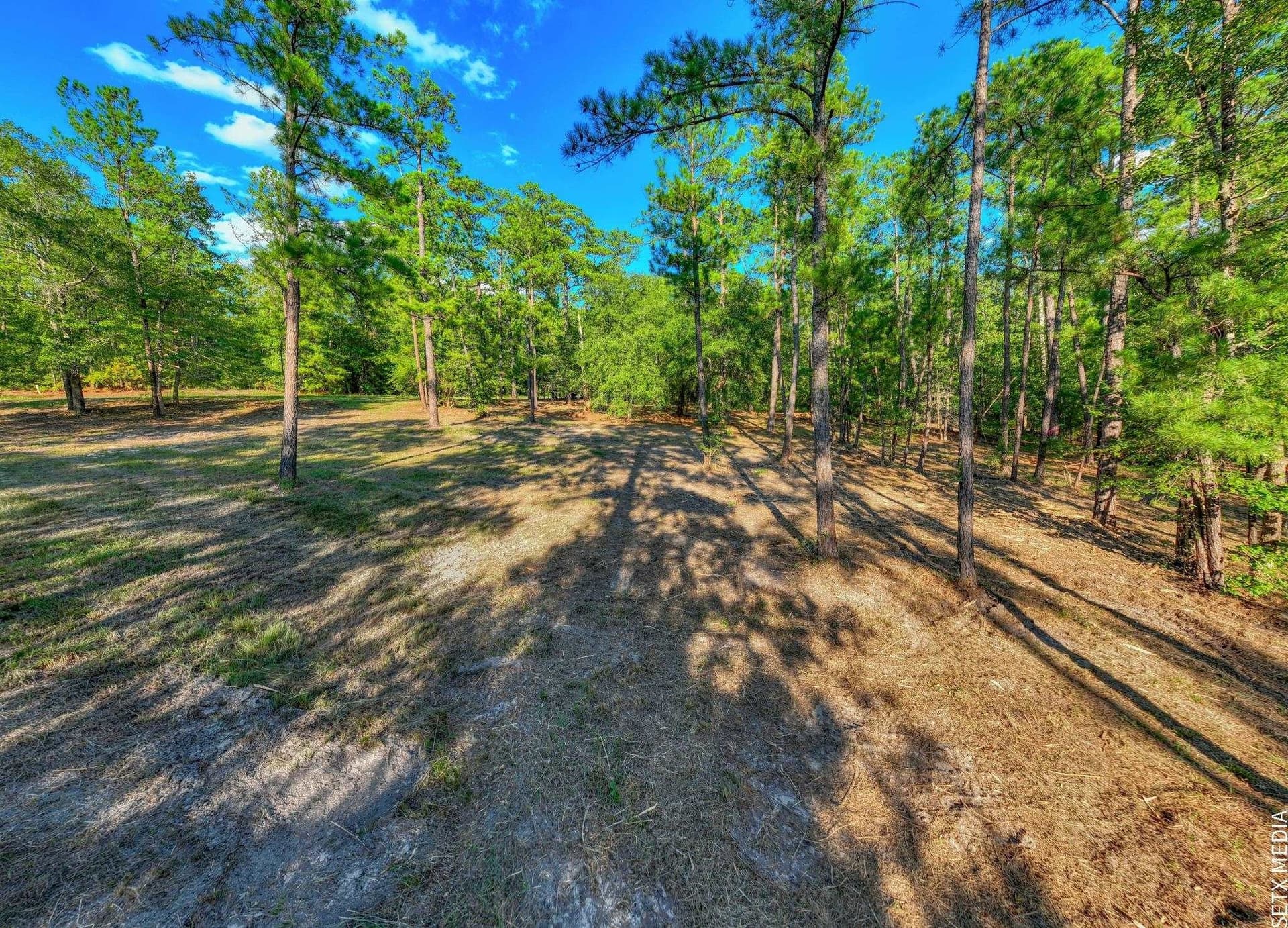2.19 acres in Texas County - photo 3