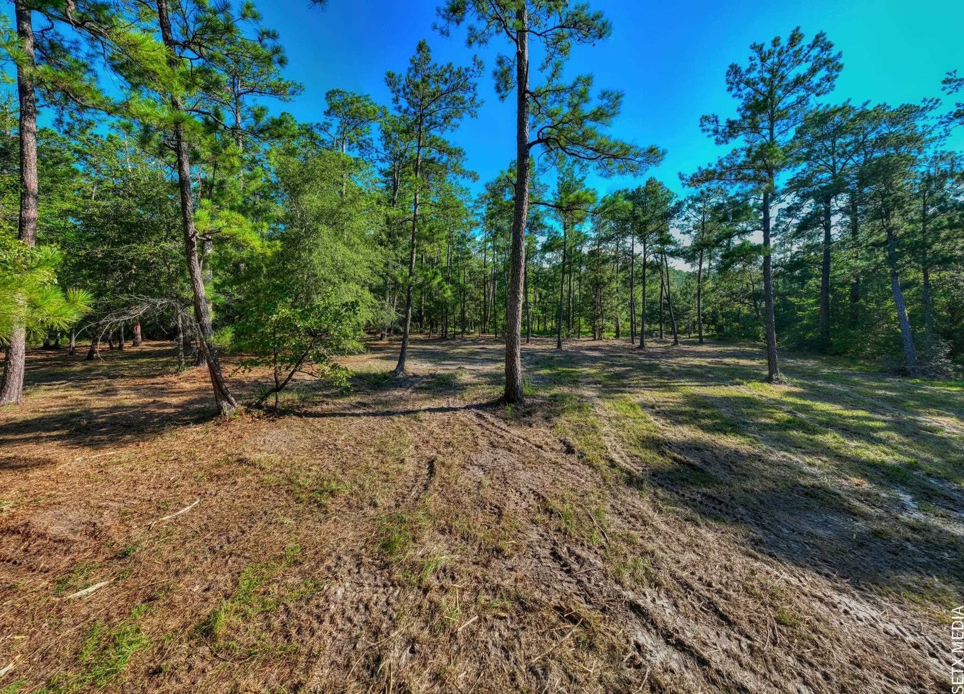 2.19 acres in Texas County - photo 12