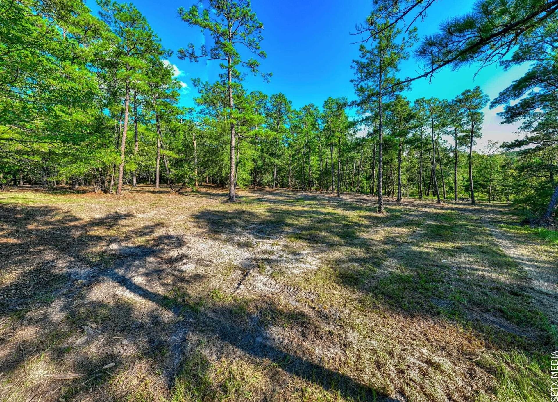 2.19 acres in Texas County - photo 13