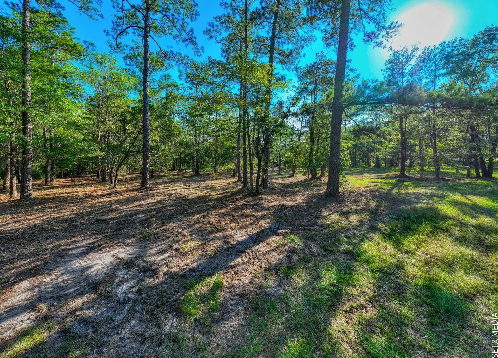 2.19 acres in Texas County - photo 9
