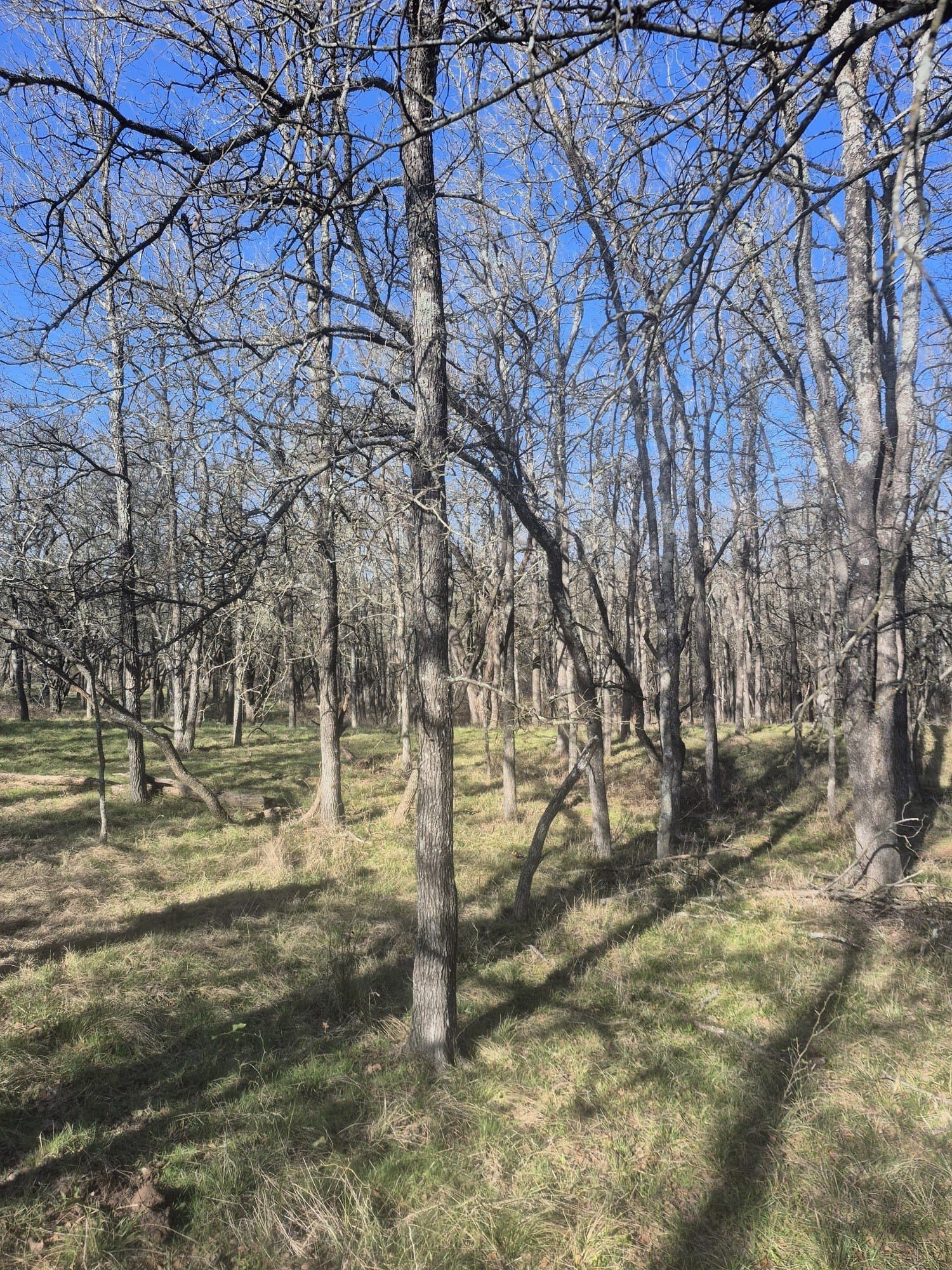 6.5 acres in Falls County featured view