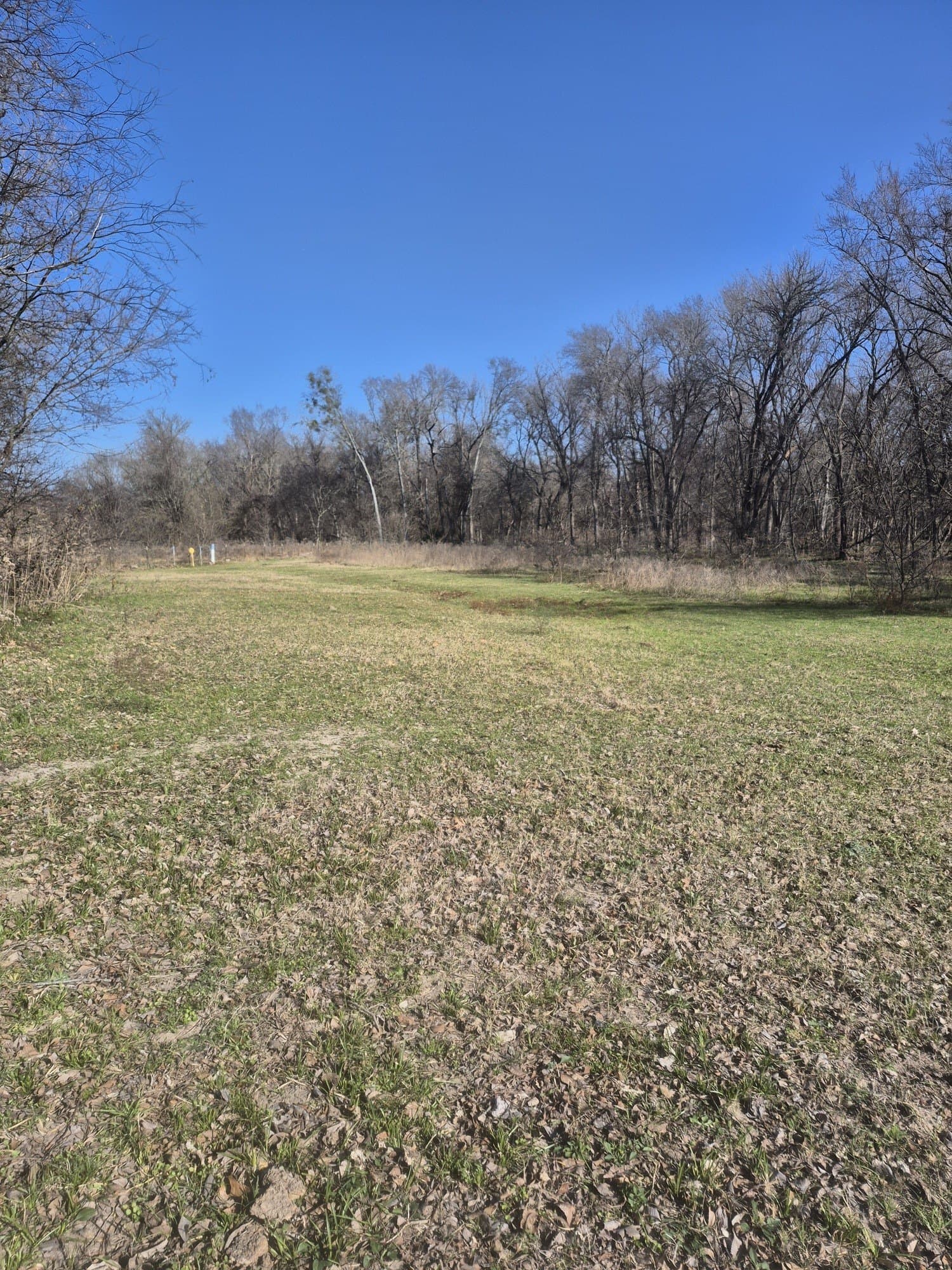 6.5 acres in Falls County - photo 13