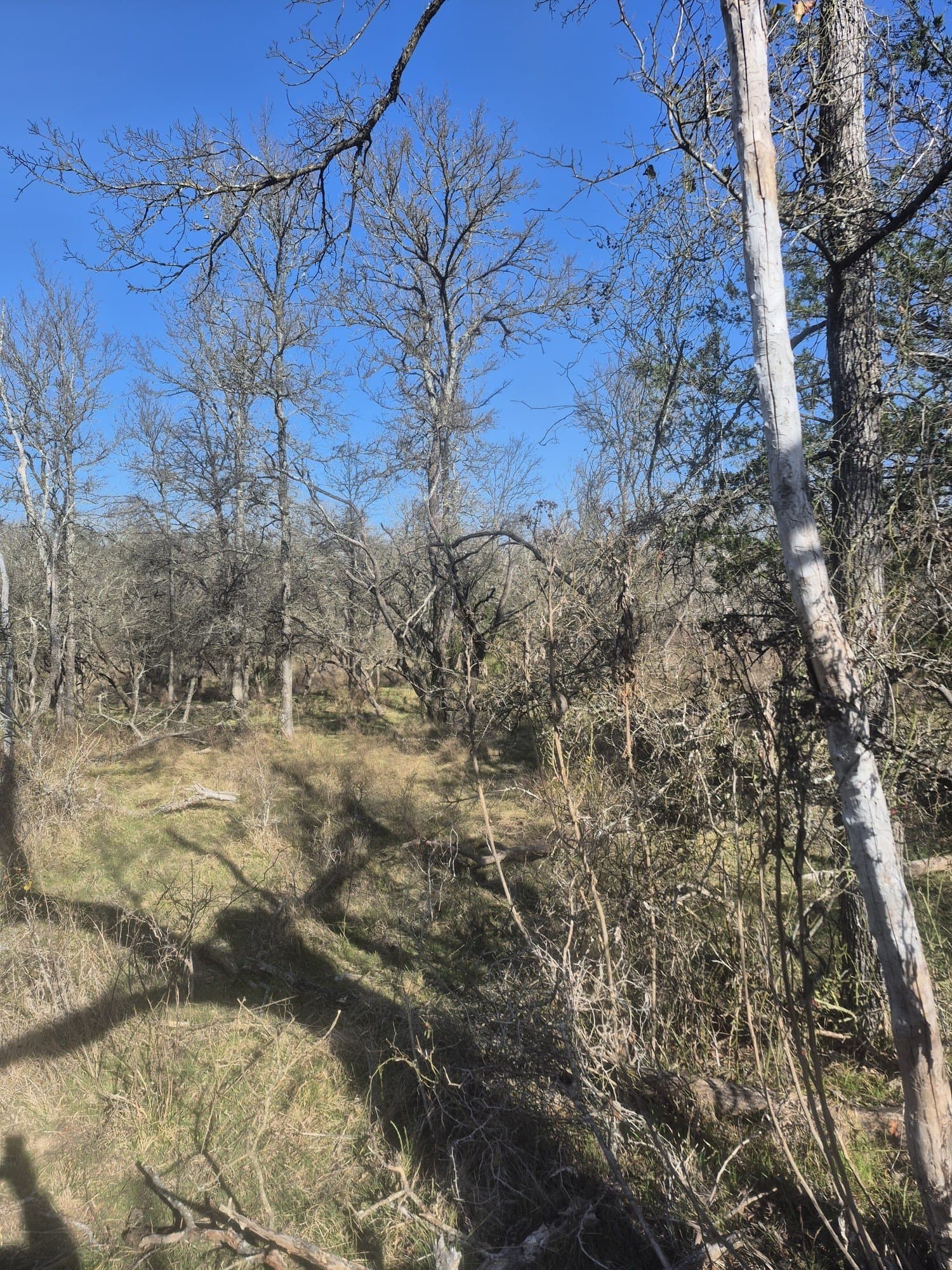 6.5 acres in Falls County - photo 8