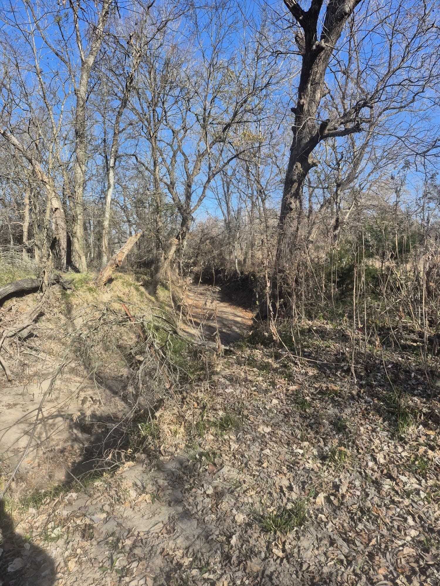 6.5 acres in Falls County - photo 18