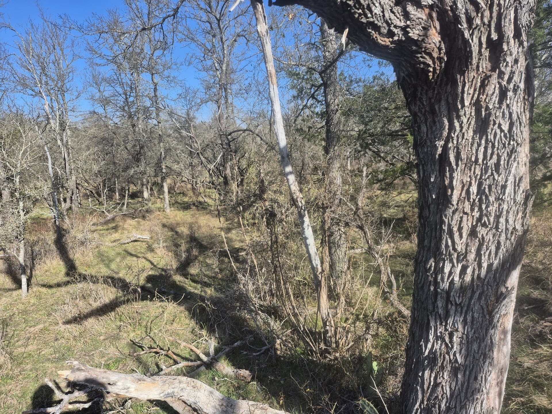 6.5 acres in Falls County - photo 10
