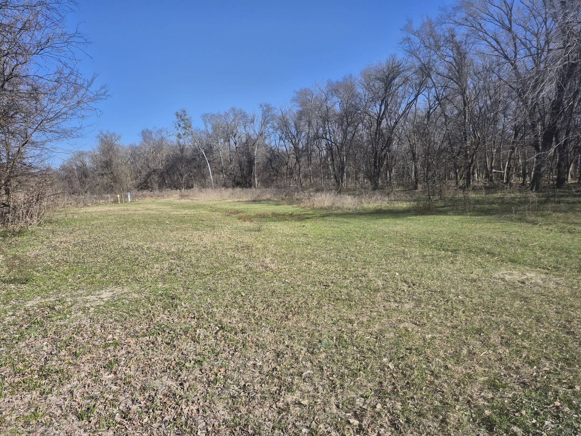 6.5 acres in Falls County - photo 16