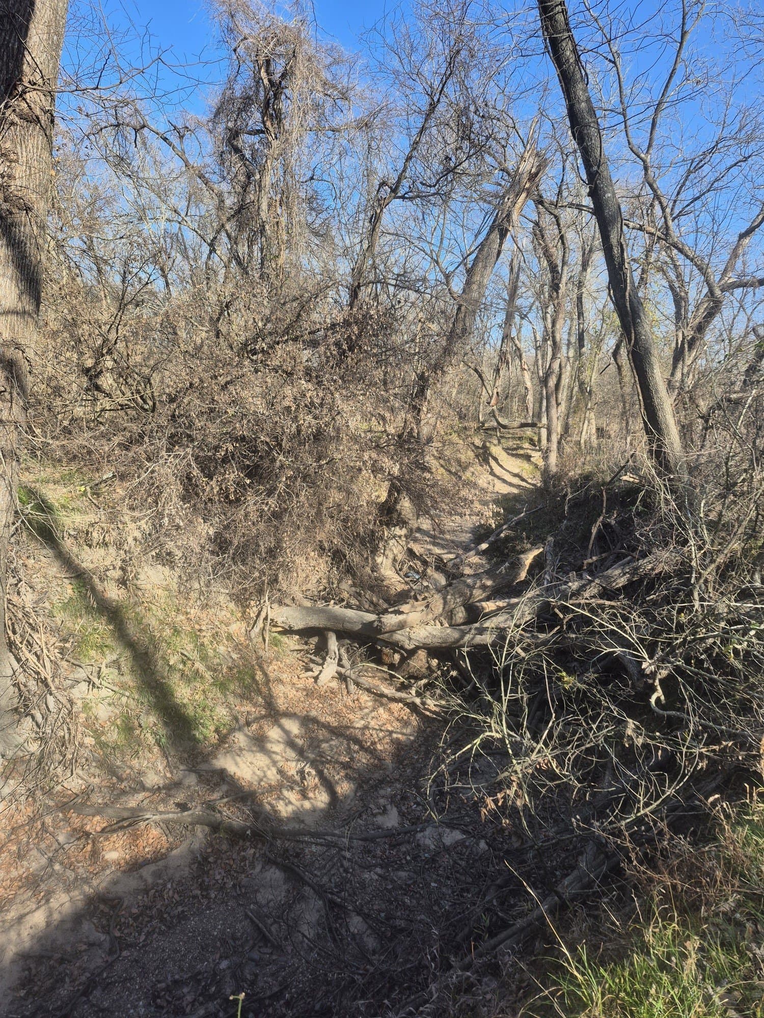 6.5 acres in Falls County - photo 20