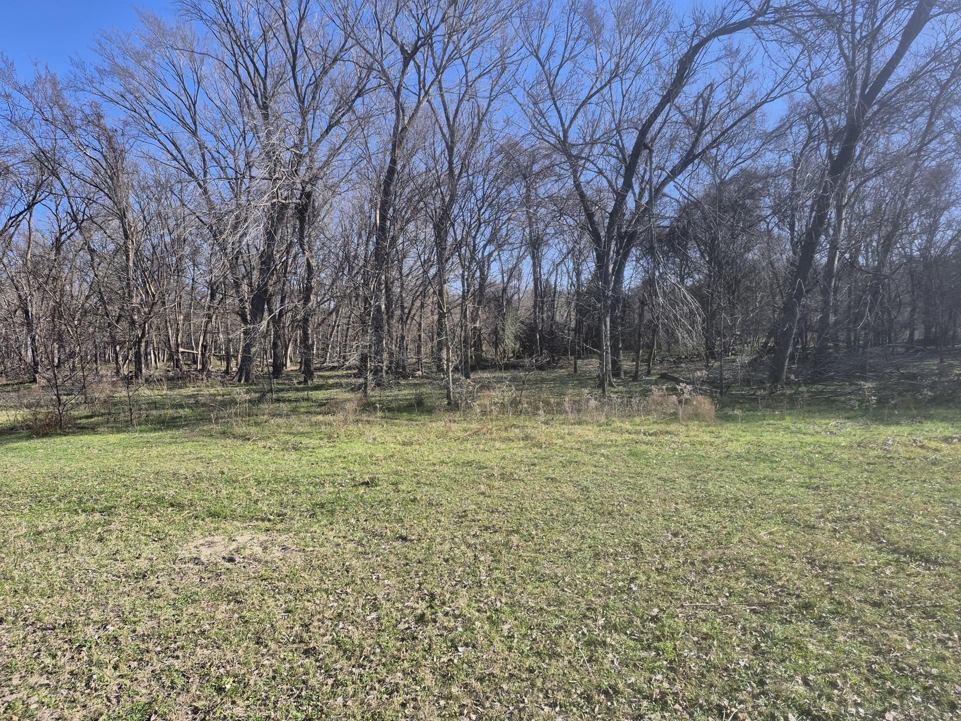 6.5 acres in Falls County - photo 17