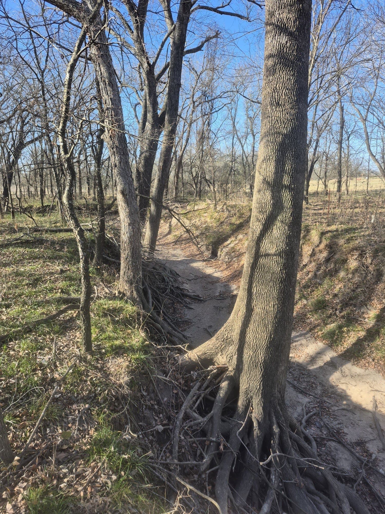 6.5 acres in Falls County - photo 21