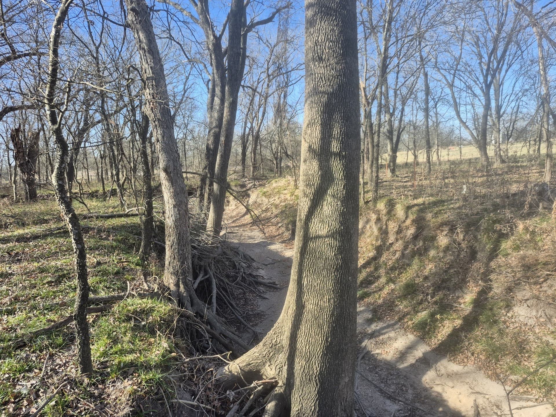 6.5 acres in Falls County - photo 19