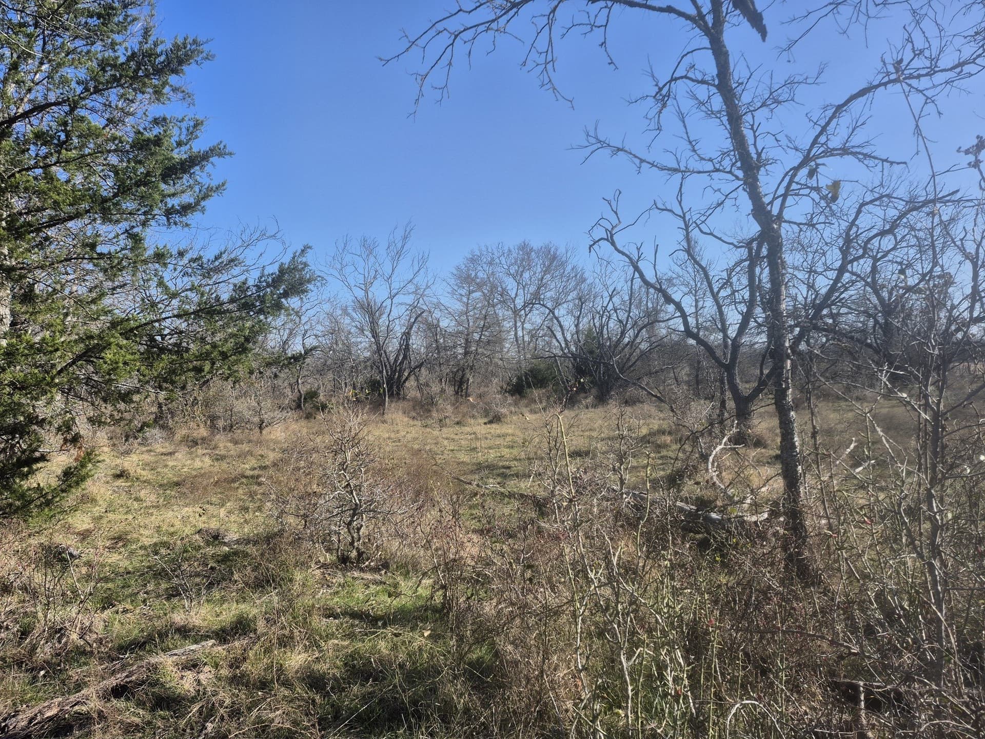 6.5 acres in Falls County - photo 11