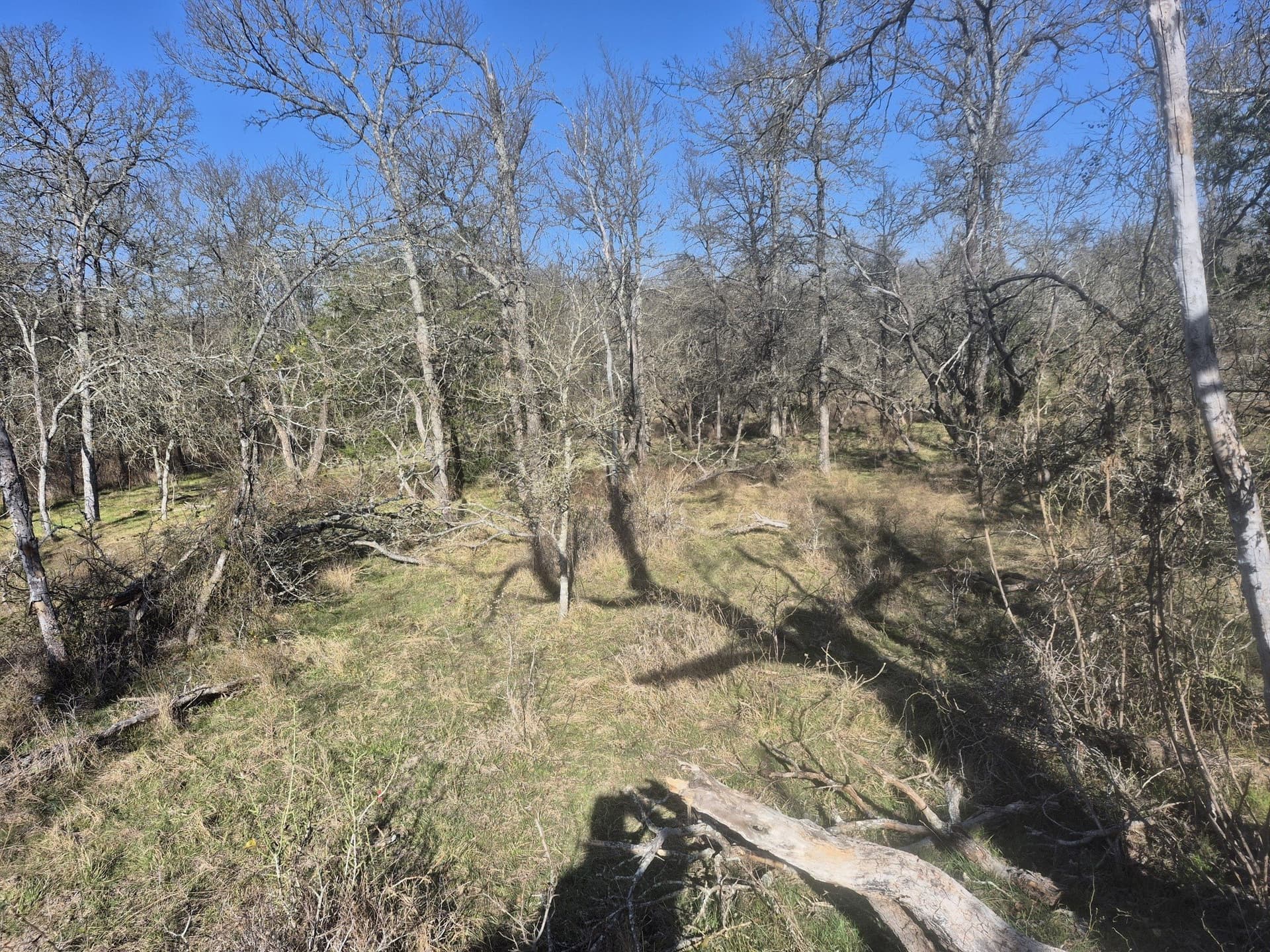 6.5 acres in Falls County - photo 9