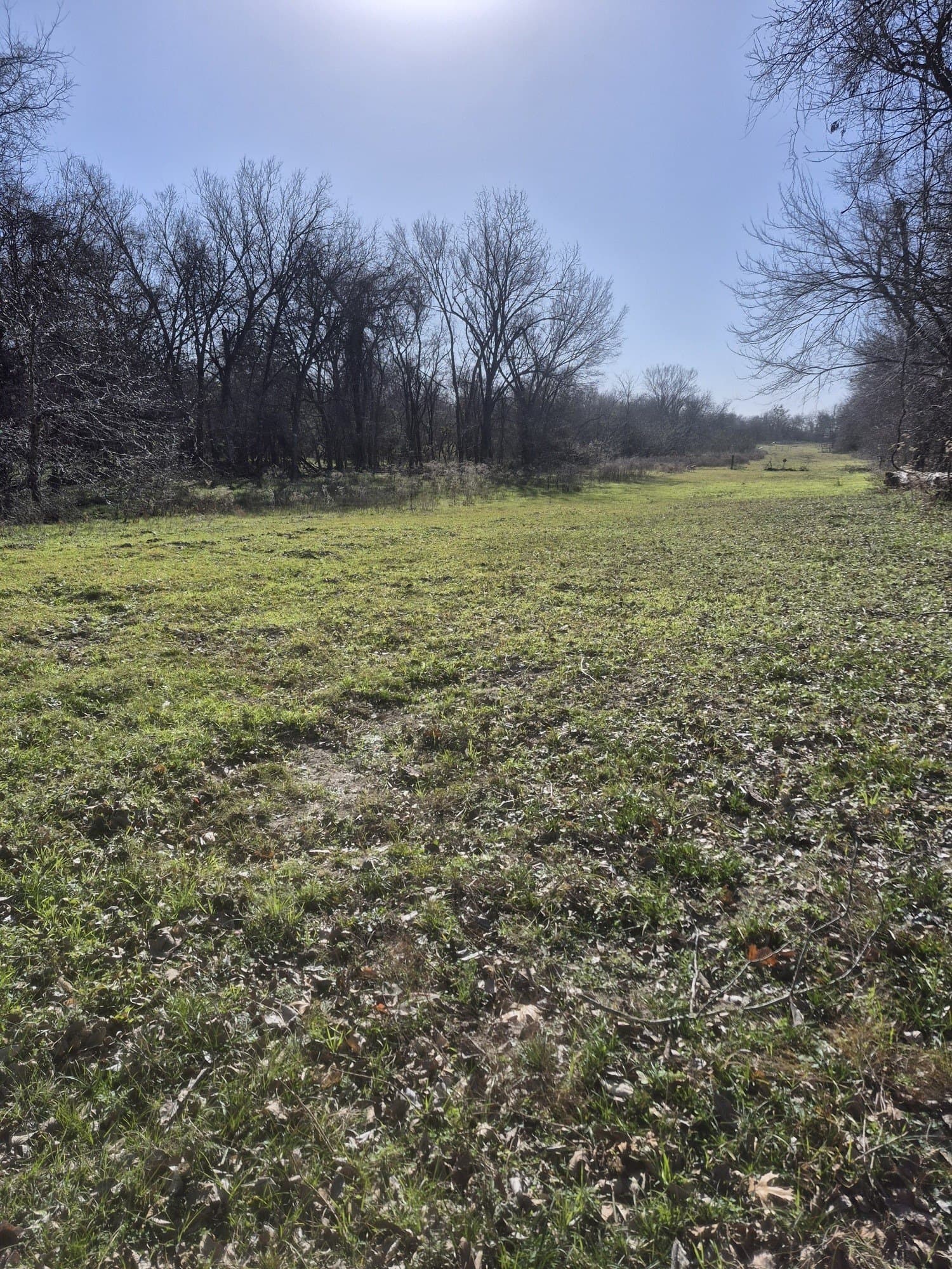 6.5 acres in Falls County - photo 15