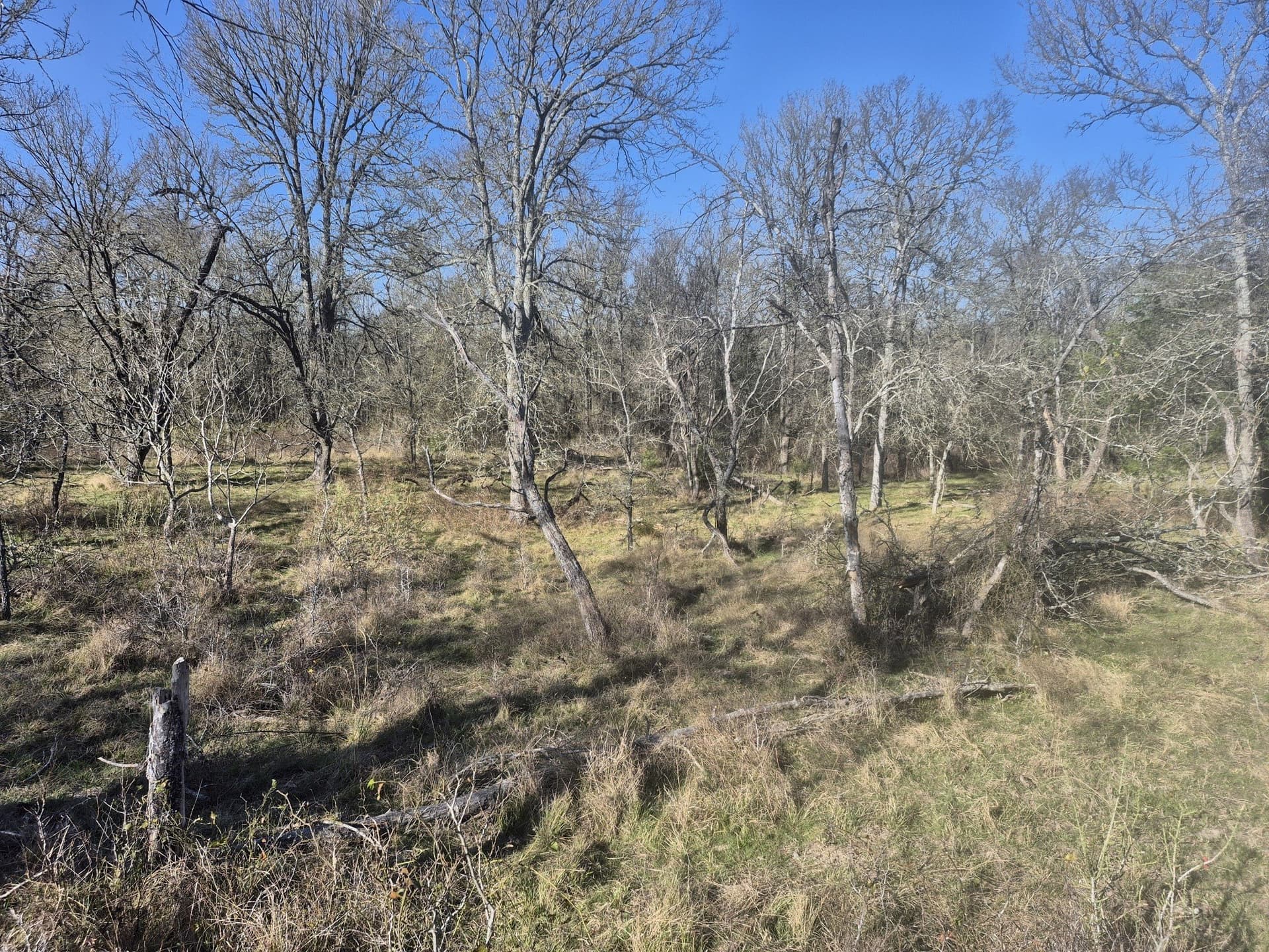 6.5 acres in Falls County - photo 12