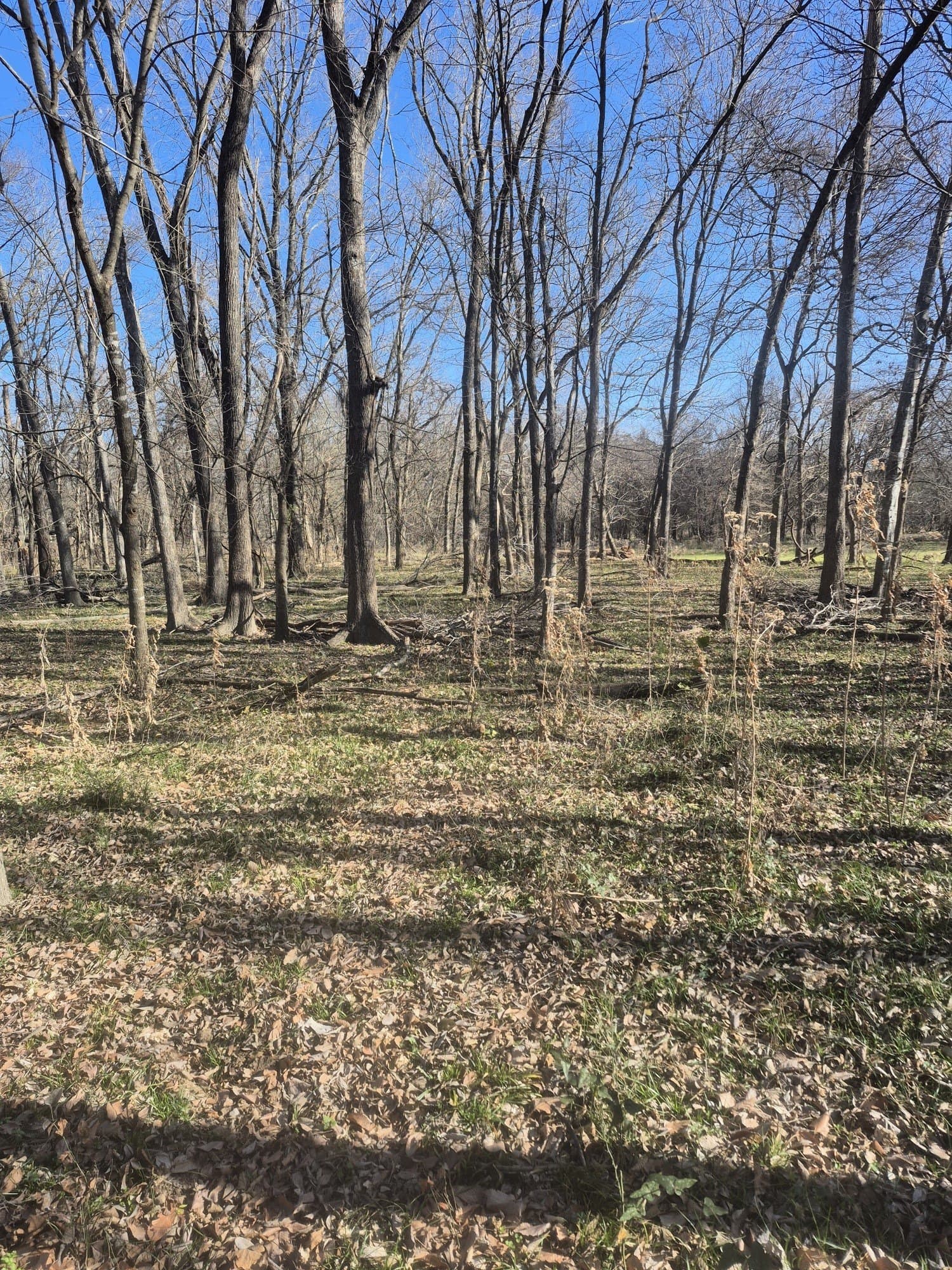 6.5 acres in Falls County - photo 22