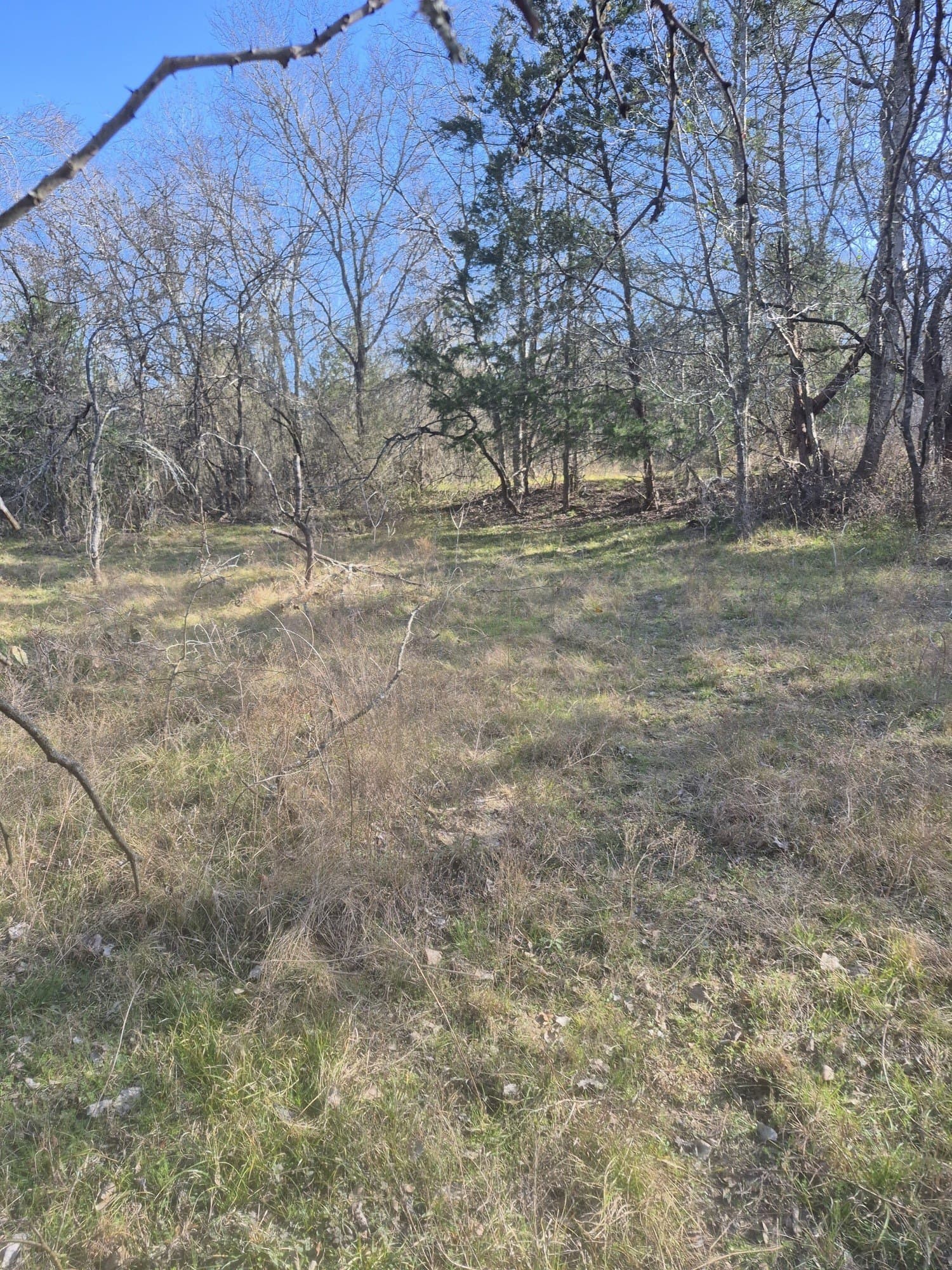 6.5 acres in Falls County - photo 7