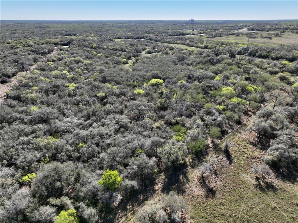 5 acres in Refugio County - photo 4