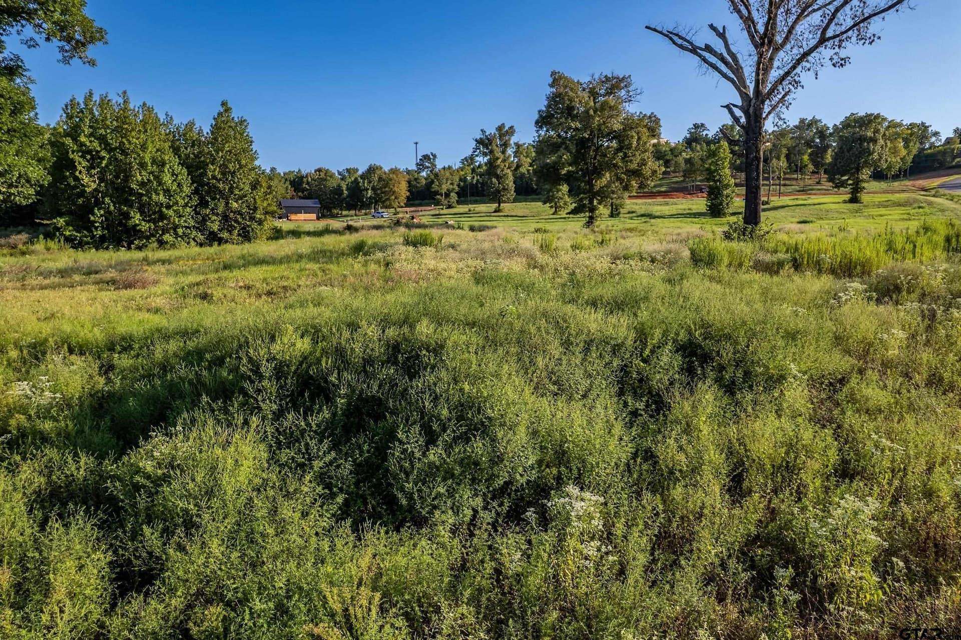 3.03 acres in Smith County - photo 6