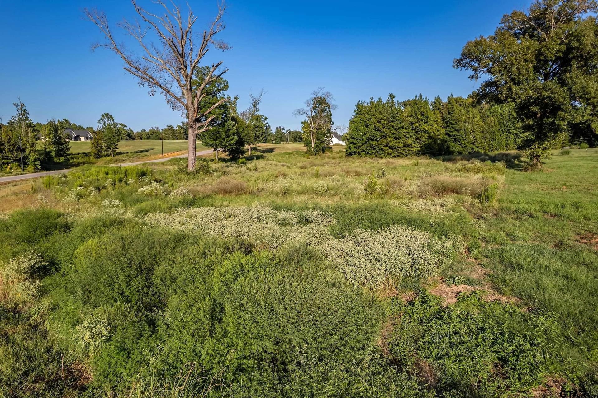 3.03 acres in Smith County gallery image 4