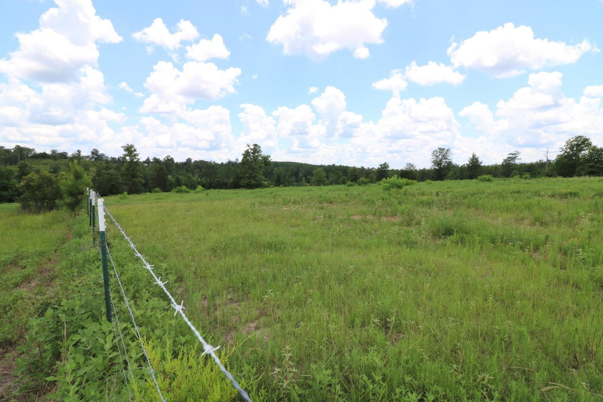 40 acres in Texas County - photo 10