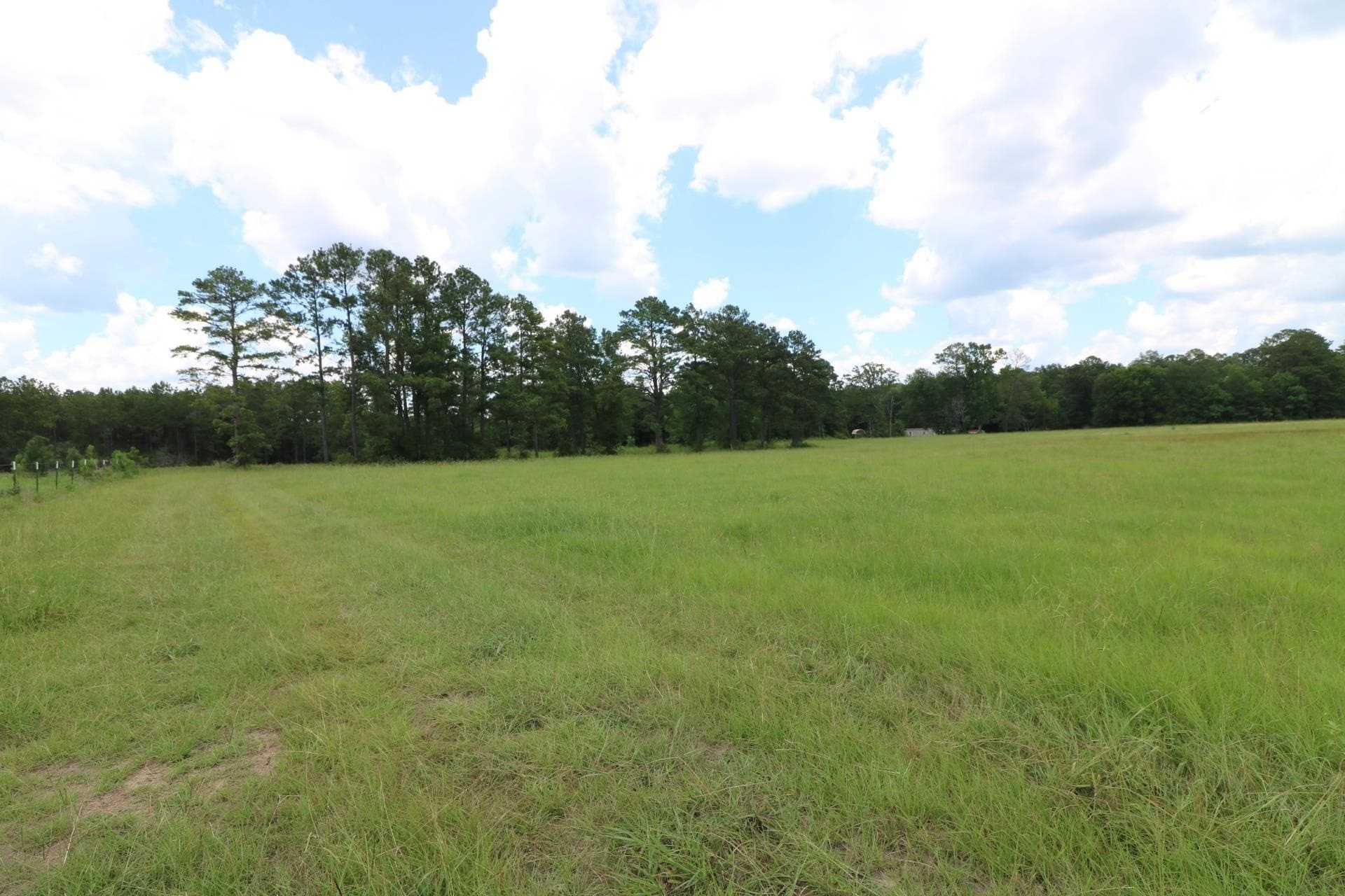 40 acres in Texas County - photo 8