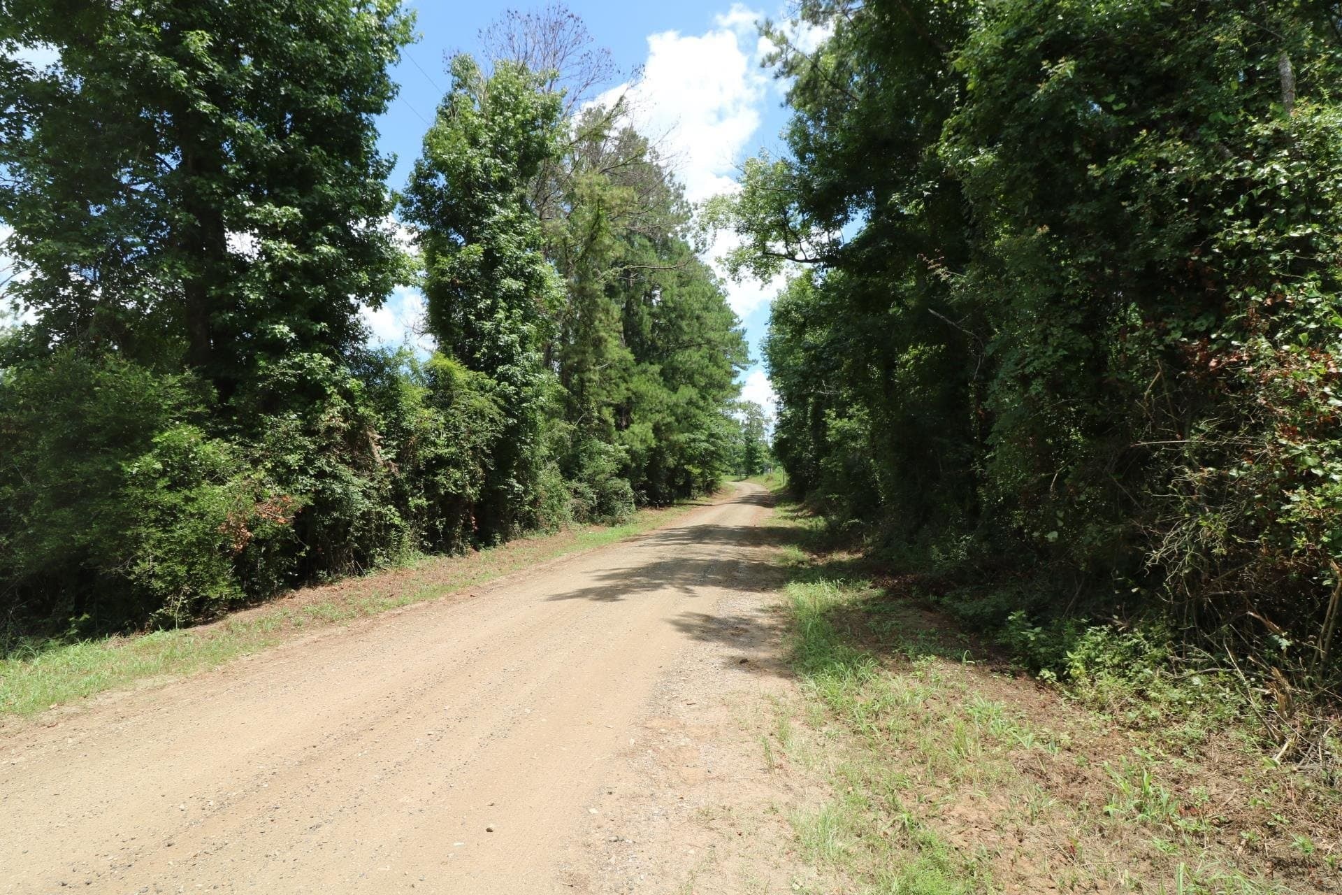40 acres in Texas County - photo 12