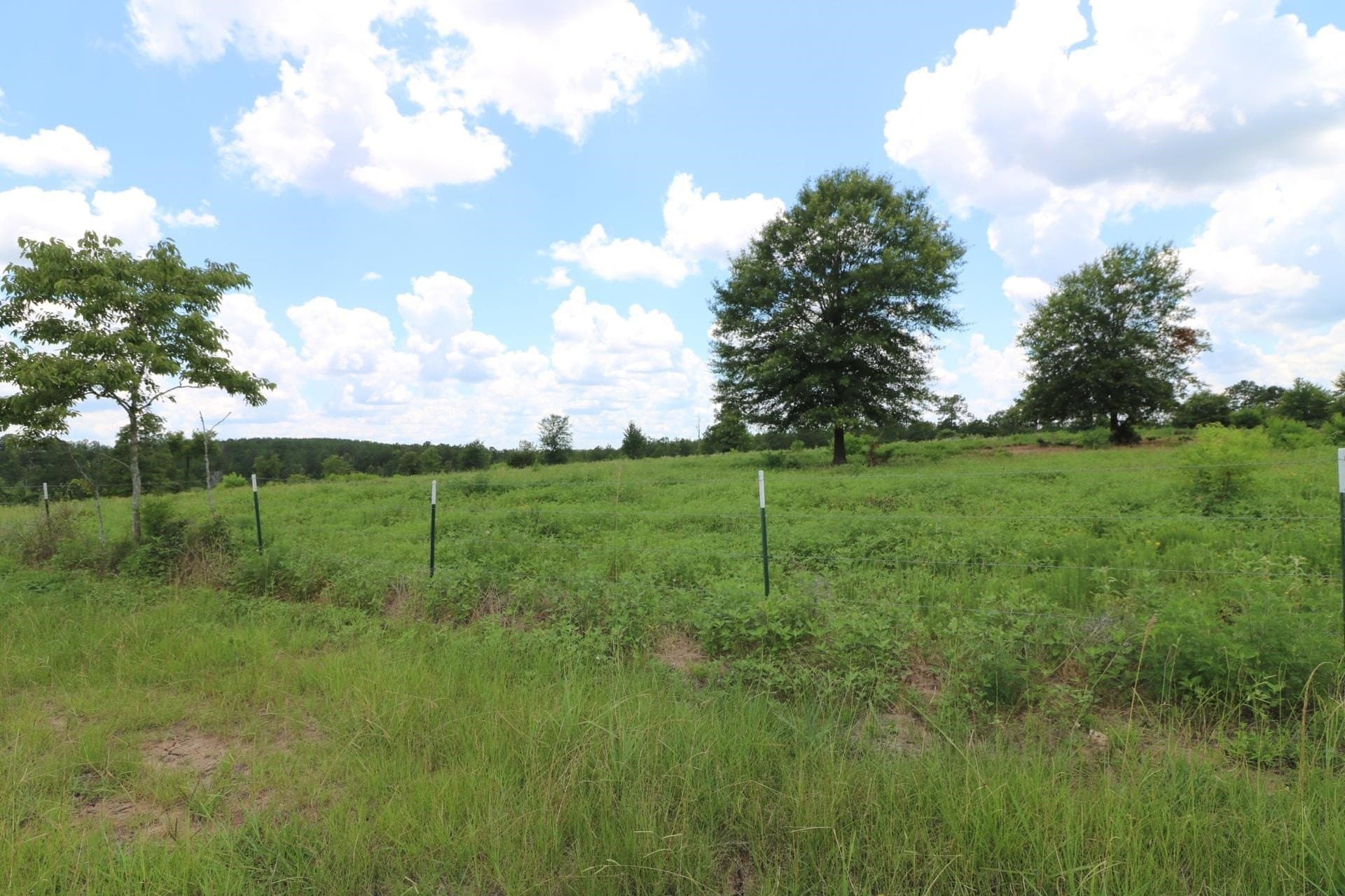 40 acres in Texas County - photo 6