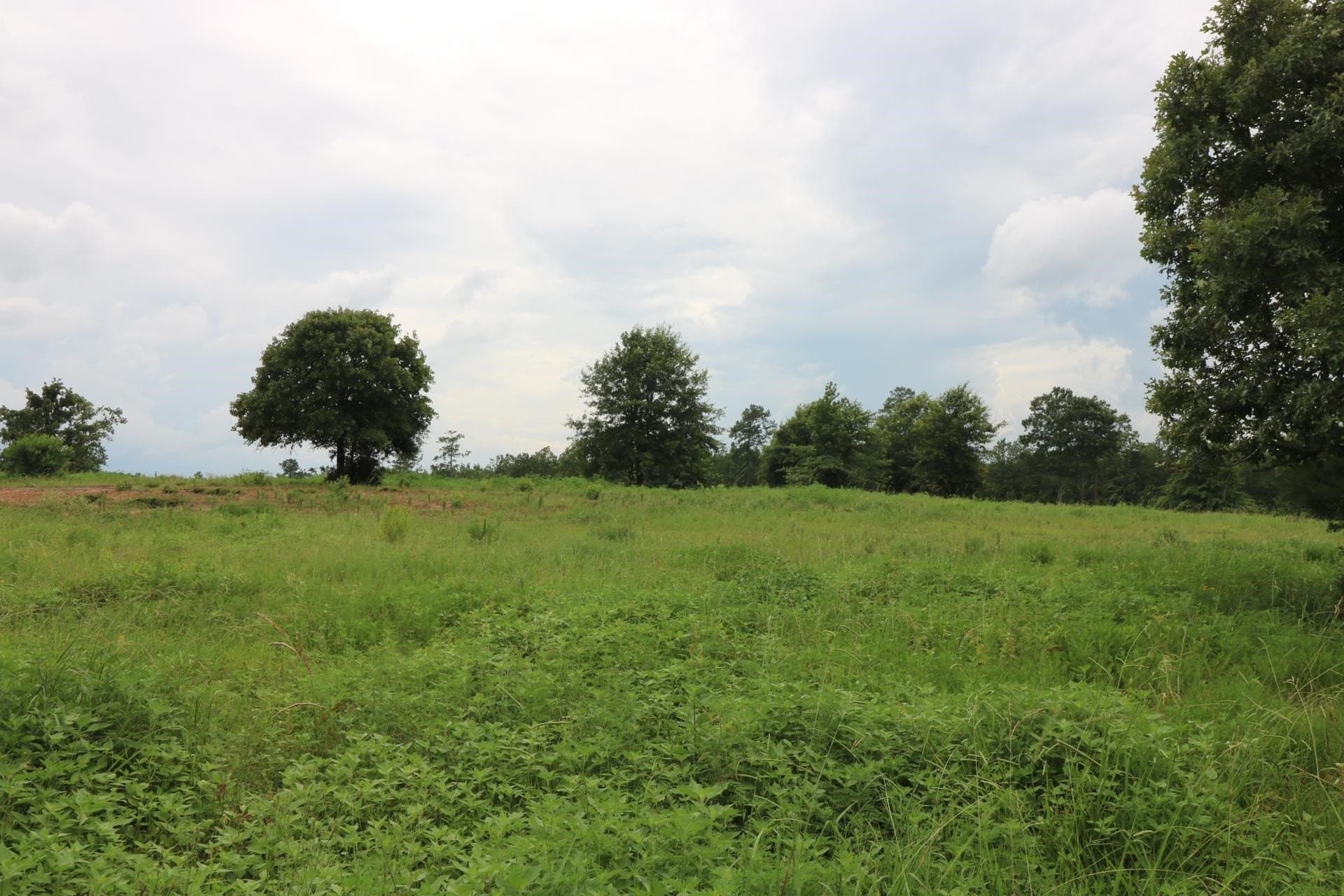 40 acres in Texas County - photo 9