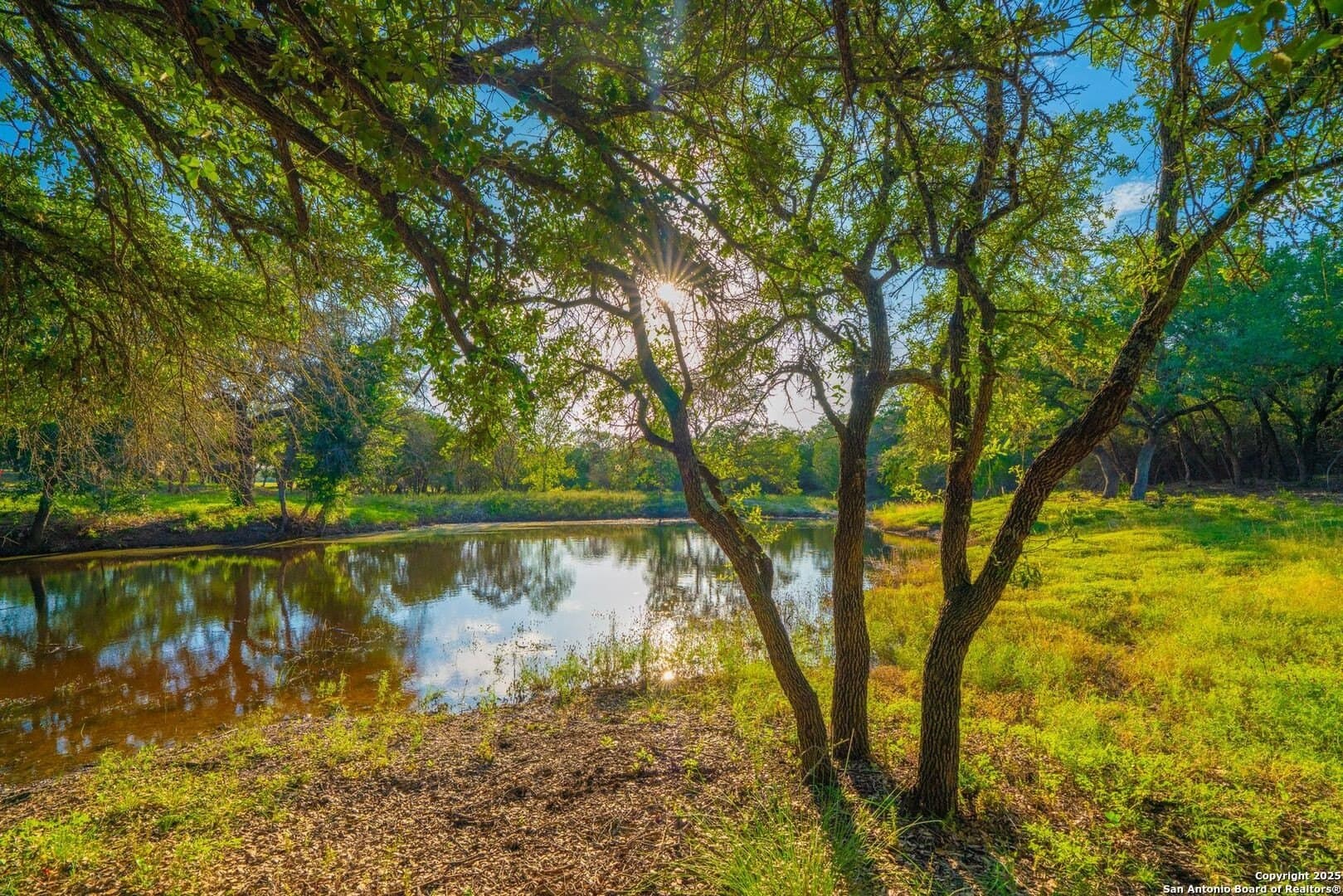 16 acres in Kendall County - photo 11